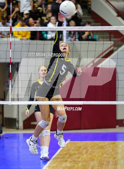 Thumbnail 3 in Windsor vs. Thompson Valley (CHSAA 4A State Championships Final) photogallery.