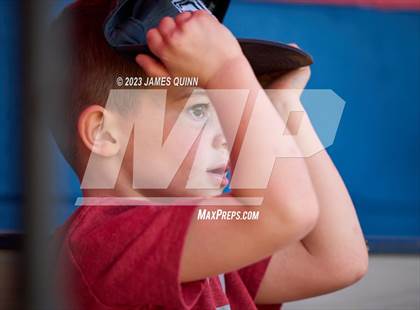 Thumbnail 1 in Lansdale Catholic @ Cardinal O'Hara photogallery.