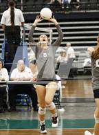 Photo from the gallery "Weber vs. Skyridge (UHSAA 6A Quarterfinal)"