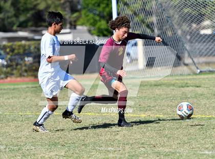 Thumbnail 2 in Brooks DeBartolo Collegiate @ Berkeley Prep photogallery.