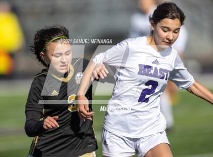 Thumbnail 3 in Bellevue East @ Burke photogallery.