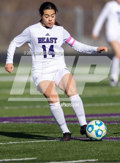 Thumbnail 3 in Bellevue East @ Burke photogallery.