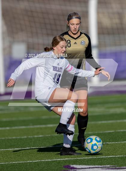 Thumbnail 3 in Bellevue East @ Burke photogallery.