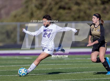 Thumbnail 3 in Bellevue East @ Burke photogallery.