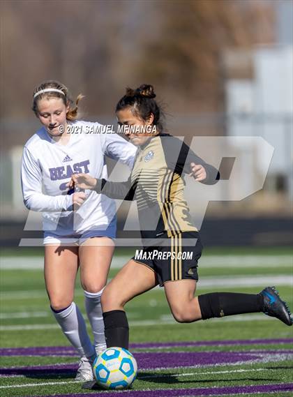 Thumbnail 3 in Bellevue East @ Burke photogallery.