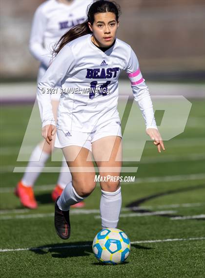 Thumbnail 3 in Bellevue East @ Burke photogallery.