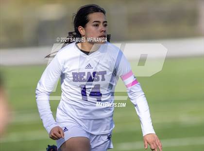 Thumbnail 1 in Bellevue East @ Burke photogallery.