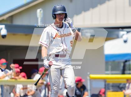 Thumbnail 2 in Amador Valley @ Cardinal Newman (CIF NCS Division 2 Quarterfinal) photogallery.