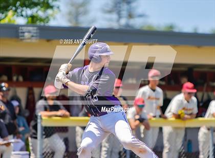 Thumbnail 3 in Amador Valley @ Cardinal Newman (CIF NCS Division 2 Quarterfinal) photogallery.
