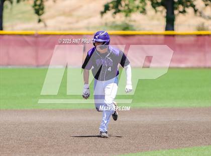 Thumbnail 3 in Amador Valley @ Cardinal Newman (CIF NCS Division 2 Quarterfinal) photogallery.