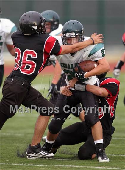 Thumbnail 3 in Cedar Park @ Vista Ridge photogallery.
