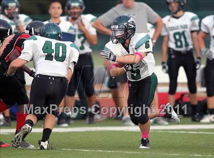 Thumbnail 3 in Cedar Park @ Vista Ridge photogallery.