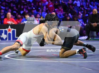 Thumbnail 1 in UIL Wrestling 6A Finals (106 lb - 150 lb) photogallery.