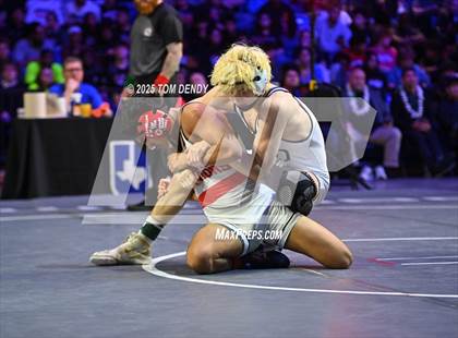 Thumbnail 2 in UIL Wrestling 6A Finals (106 lb - 150 lb) photogallery.