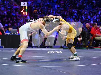 Thumbnail 3 in UIL Wrestling 6A Finals (106 lb - 150 lb) photogallery.