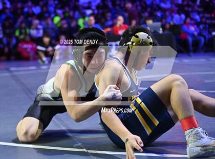Thumbnail 1 in UIL Wrestling 6A Finals (106 lb - 150 lb) photogallery.