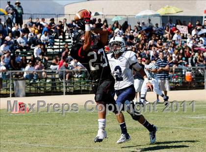 Thumbnail 2 in Marshall @ Arleta photogallery.