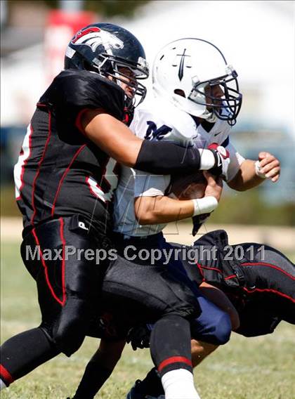 Thumbnail 2 in Marshall @ Arleta photogallery.