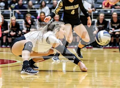 Thumbnail 2 in Bushland vs. Columbus (UIL Volleyball 3A Semi-Finals)  photogallery.