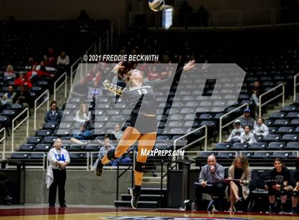 Thumbnail 2 in Bushland vs. Columbus (UIL Volleyball 3A Semi-Finals)  photogallery.