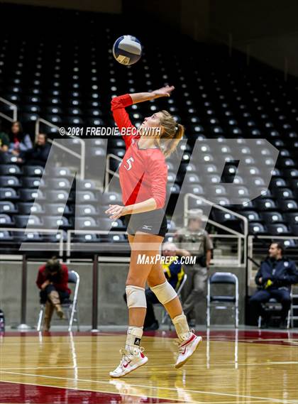 Thumbnail 1 in Bushland vs. Columbus (UIL Volleyball 3A Semi-Finals)  photogallery.