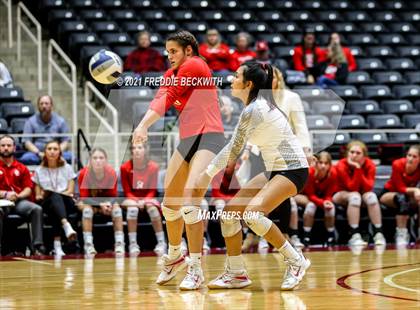 Thumbnail 2 in Bushland vs. Columbus (UIL Volleyball 3A Semi-Finals)  photogallery.