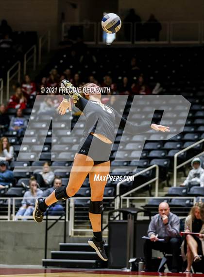 Thumbnail 3 in Bushland vs. Columbus (UIL Volleyball 3A Semi-Finals)  photogallery.