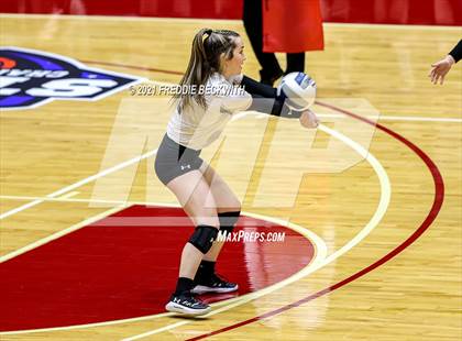 Thumbnail 1 in Bushland vs. Columbus (UIL Volleyball 3A Semi-Finals)  photogallery.