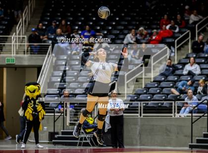 Thumbnail 2 in Bushland vs. Columbus (UIL Volleyball 3A Semi-Finals)  photogallery.