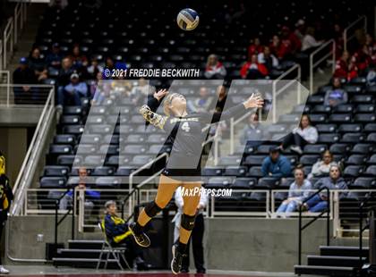 Thumbnail 1 in Bushland vs. Columbus (UIL Volleyball 3A Semi-Finals)  photogallery.