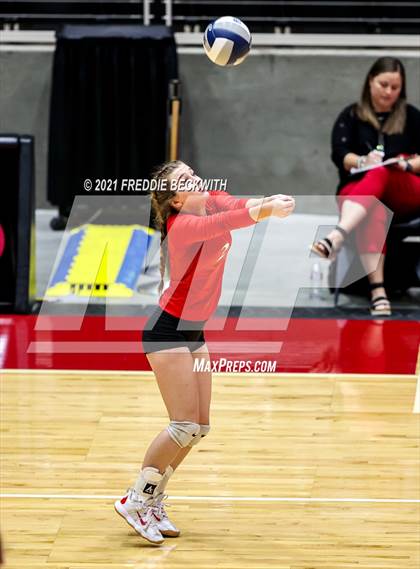 Thumbnail 2 in Bushland vs. Columbus (UIL Volleyball 3A Semi-Finals)  photogallery.