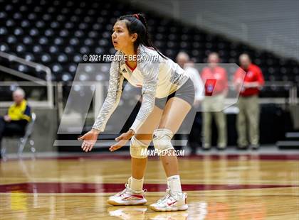 Thumbnail 3 in Bushland vs. Columbus (UIL Volleyball 3A Semi-Finals)  photogallery.