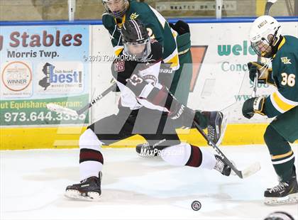 Thumbnail 1 in Morristown-Beard @ Morris Knolls photogallery.