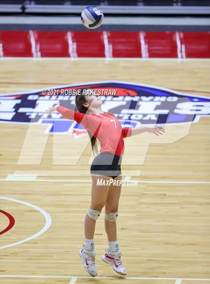 Thumbnail 2 in Bushland vs. Columbus (UIL Volleyball 3A Semifinals) photogallery.