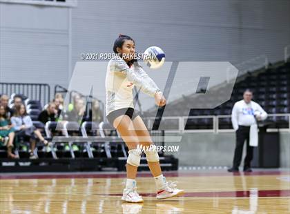 Thumbnail 2 in Bushland vs. Columbus (UIL Volleyball 3A Semifinals) photogallery.