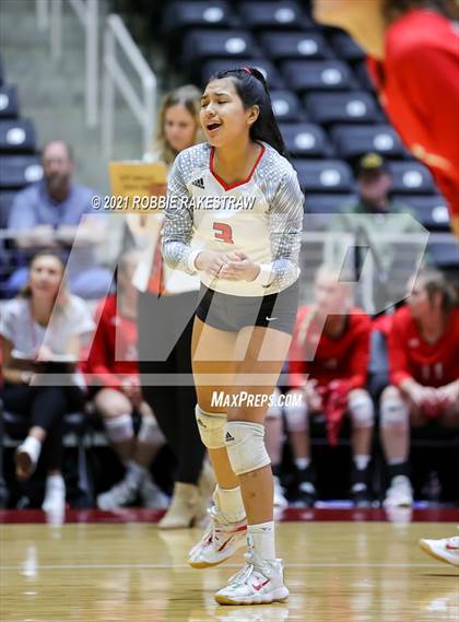 Thumbnail 1 in Bushland vs. Columbus (UIL Volleyball 3A Semifinals) photogallery.