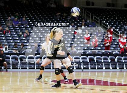 Thumbnail 2 in Bushland vs. Columbus (UIL Volleyball 3A Semifinals) photogallery.
