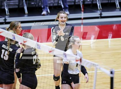 Thumbnail 1 in Bushland vs. Columbus (UIL Volleyball 3A Semifinals) photogallery.