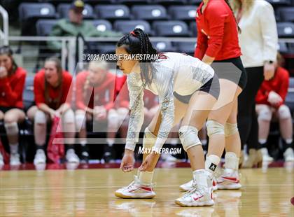 Thumbnail 1 in Bushland vs. Columbus (UIL Volleyball 3A Semifinals) photogallery.