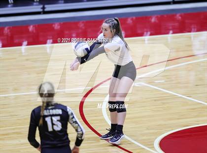 Thumbnail 2 in Bushland vs. Columbus (UIL Volleyball 3A Semifinals) photogallery.