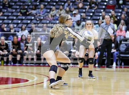 Thumbnail 1 in Bushland vs. Columbus (UIL Volleyball 3A Semifinals) photogallery.