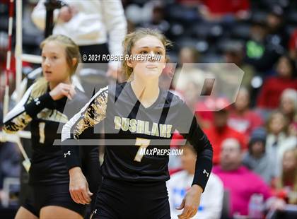 Thumbnail 2 in Bushland vs. Columbus (UIL Volleyball 3A Semifinals) photogallery.