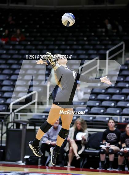Thumbnail 3 in Bushland vs. Columbus (UIL Volleyball 3A Semifinals) photogallery.