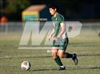 Photo from the gallery "Walsingham Academy @ Catholic"