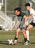 Photo from the gallery "Walsingham Academy @ Catholic"