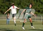 Photo from the gallery "Walsingham Academy @ Catholic"