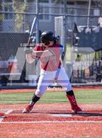 Photo from the gallery "Healdsburg @ St. Vincent de Paul"