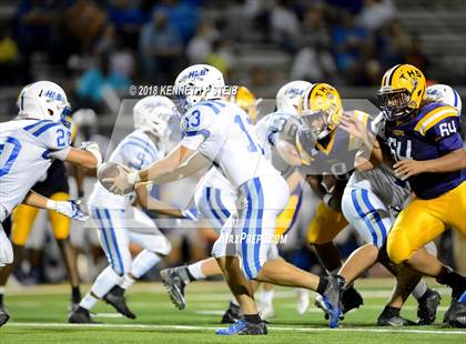 Thumbnail 3 in Bourgeois @ Thibodaux photogallery.
