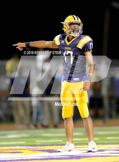 Thumbnail 2 in Bourgeois @ Thibodaux photogallery.