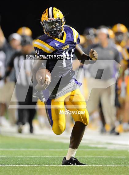 Thumbnail 3 in Bourgeois @ Thibodaux photogallery.